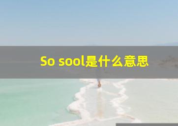 So sool是什么意思